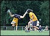 DSC_8421.JPG
