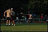 DSC_8499.JPG